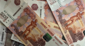 Во Владимирской области возбуждены уголовные дела по факту незаконной вырубки леса на 4,7 миллионов рублей  