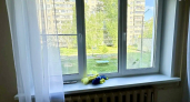 Во Владимирской области трёхлетняя девочка выпала из окна вместе с москитной сеткой