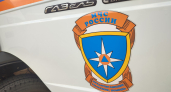  Владимирские спасатели вызволили стрижа из квартиры