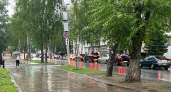 Во Владимирской области прогремят грозы с ливнями: синоптики рассказали о погоде на 16 июня