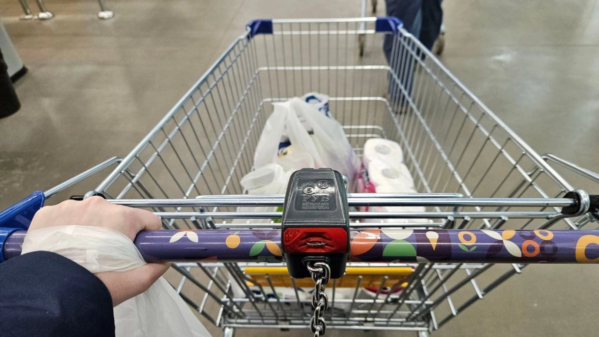 Итоги инфляции во Владимирской области за март: основные причины роста цен