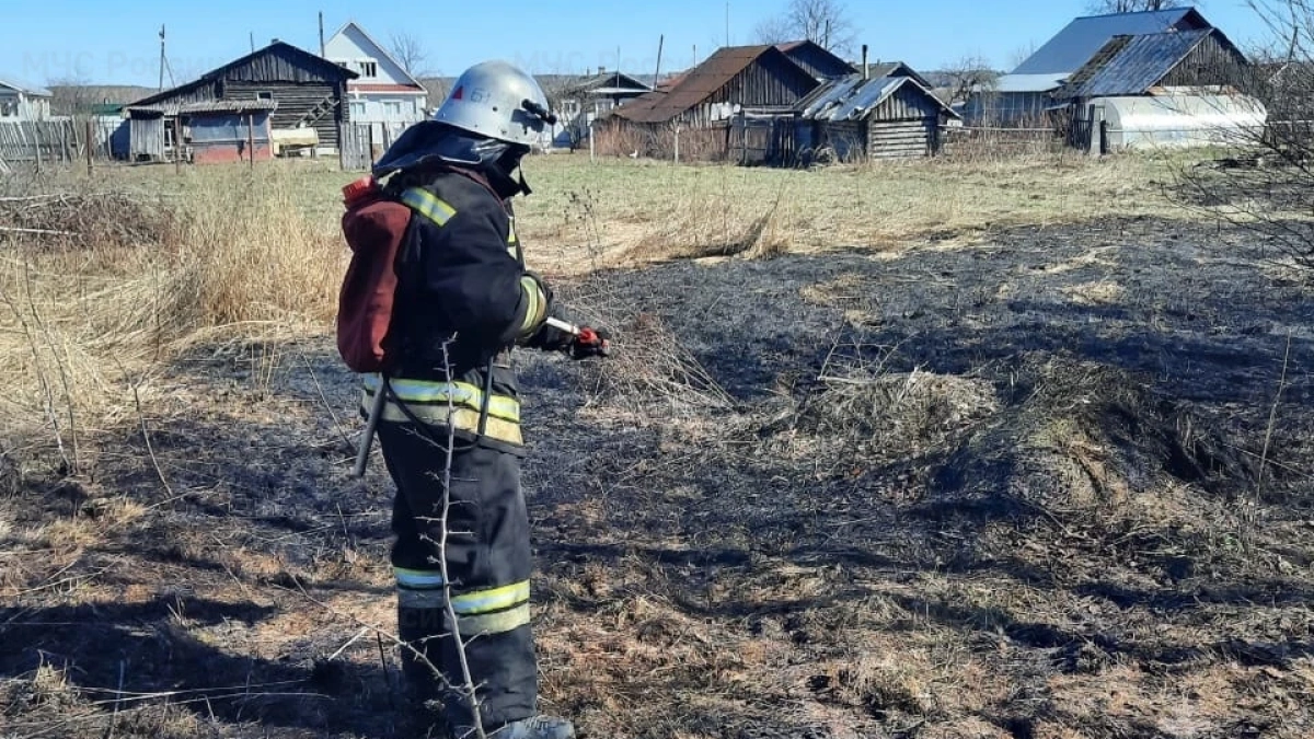 Александровский округ лидирует по числу палов травы во Владимирской области 