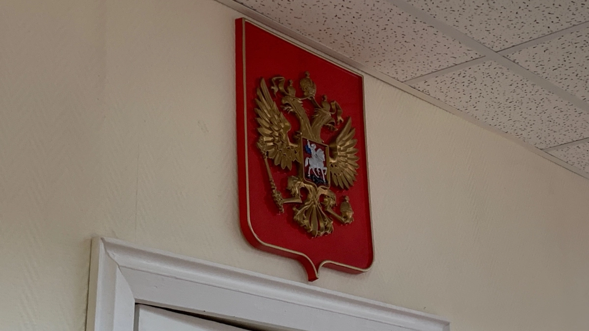 Кража телефона и угон автомобиля привели жителя Александрова нападению на инспектора ДПС и реальному сроку 