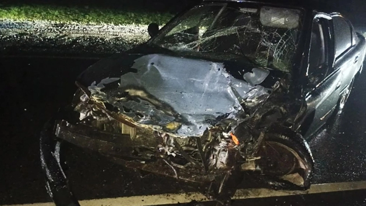 В аварии, устроенной 20-летним водителем иномарки на трассе Р-132 "Золотое кольцо" во Владимирской области, пострадали два человека