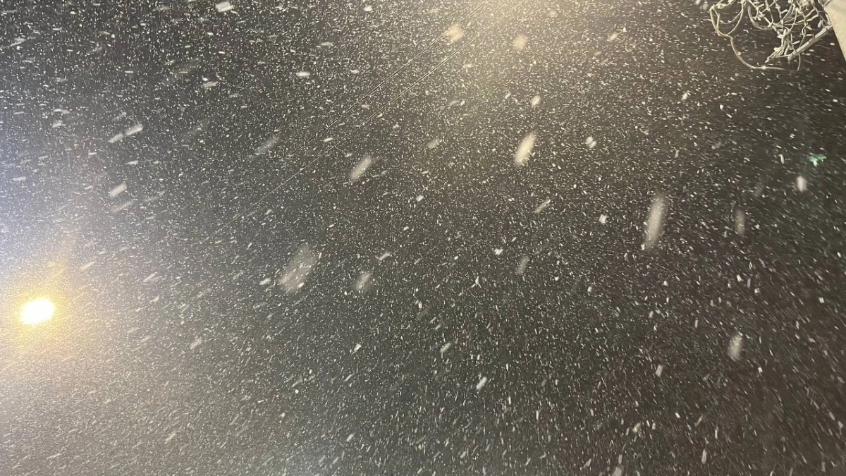 Во Владимирской области похолодает до +3 градусов: синоптики рассказали о погоде на 28 апреля