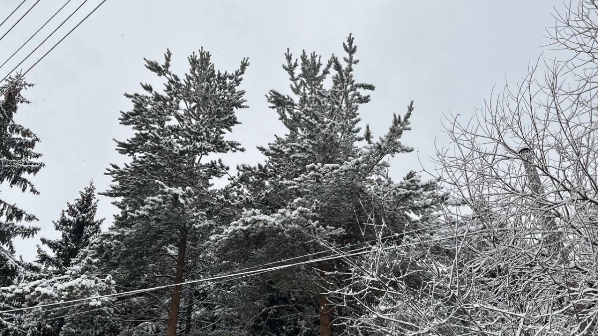 Александровский район третий день устраняет последствия рекордного апрельского снегопада