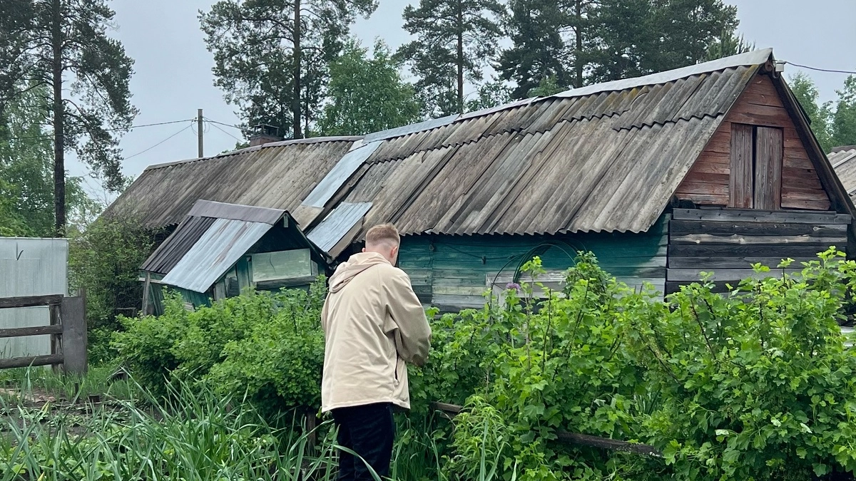 Из помойки в суперурожай: бесплатный кальций из отходов — инструкция для мощной рассады перцев и томатов