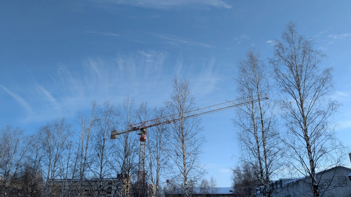 Во Владимирской области потеплеет до +6 градусов: синоптики рассказали о погоде на 30 апреля