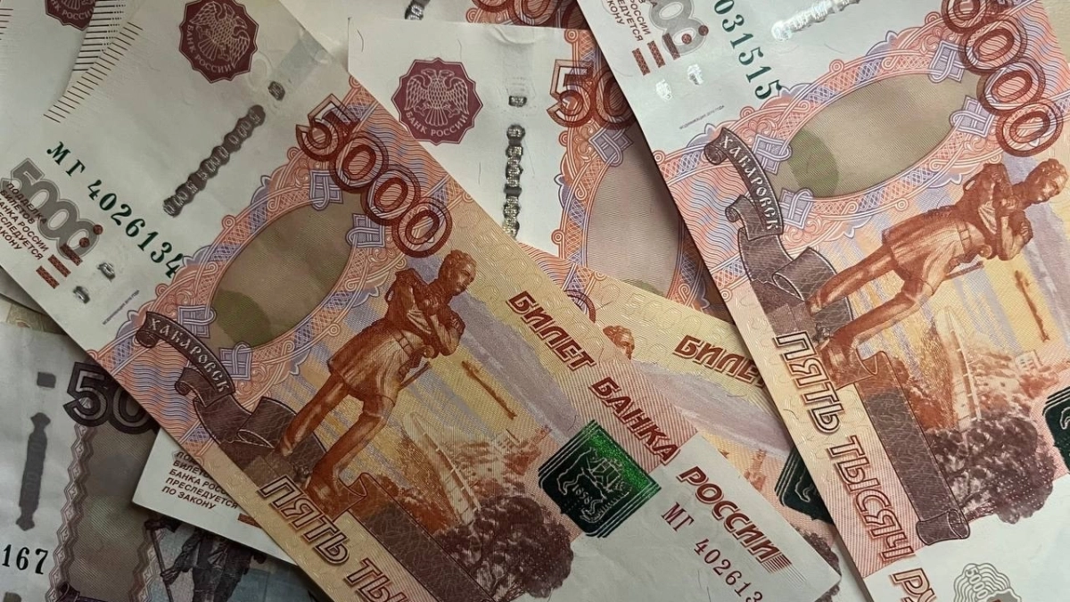 Во Владимирской области возбуждены уголовные дела по факту незаконной вырубки леса на 4,7 миллионов рублей  