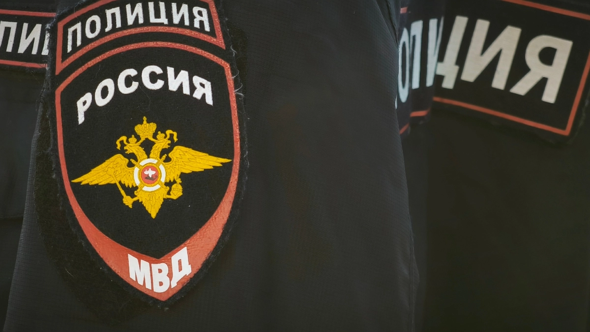 Во Владимирской области полиция обнаружила теплицу с наркотическим растением 