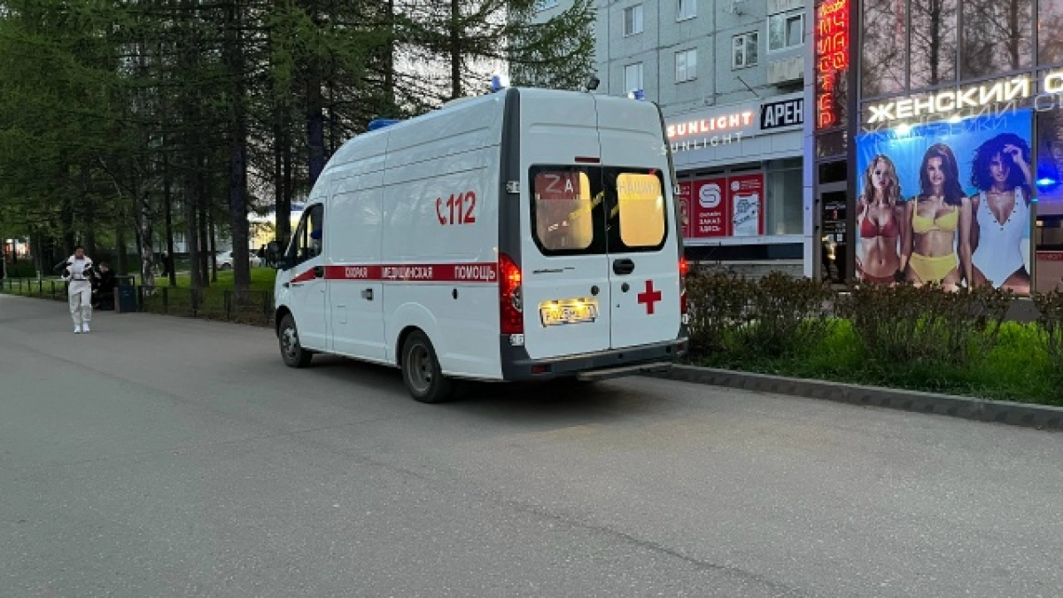 Во Владимирской области гадюка укусила женщину во время посадки картофеля 