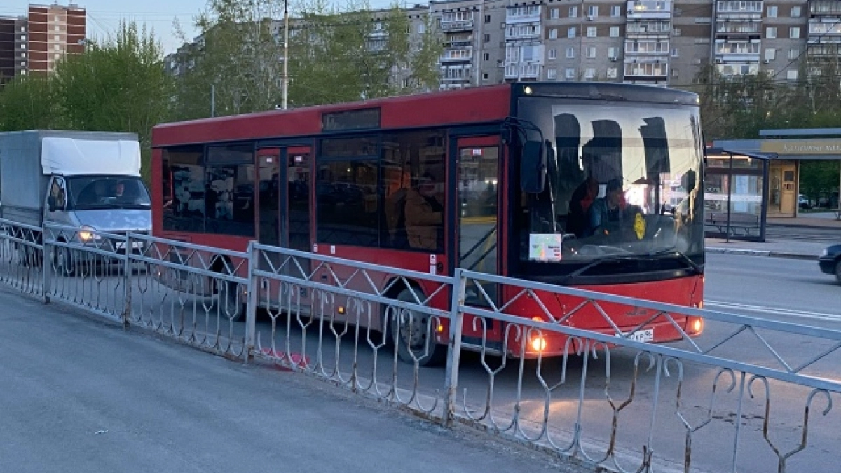 Владимирские власти готовы запустить пилотный автобусный маршрут выходного дня «Александров — Суздаль»