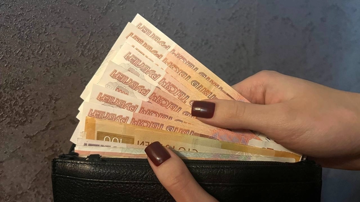 Во Владимирской области выплатят премии отличникам ЕГЭ