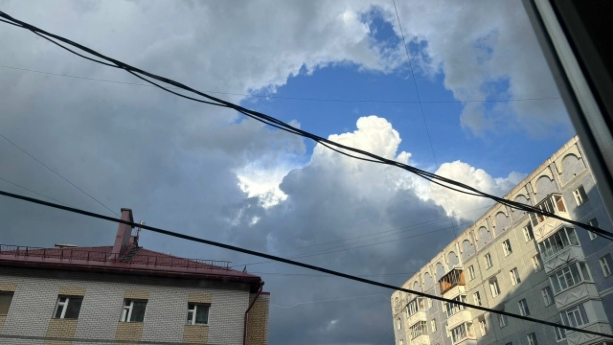 Скандинавский циклон принесет во Владимирскую область похолодание и дожди: синоптики рассказали о погоде на 15 июня