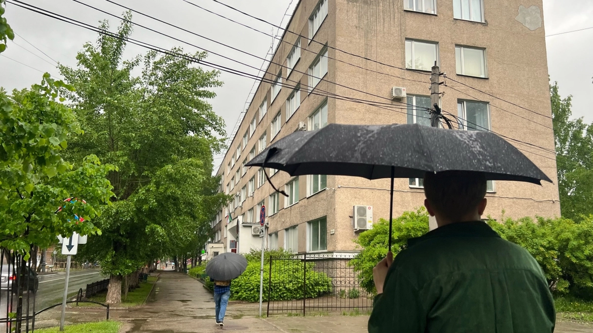 Североатлантический циклон принесет во Владимирскую область холод и дожди: синоптики рассказали о погоде на 19 июня