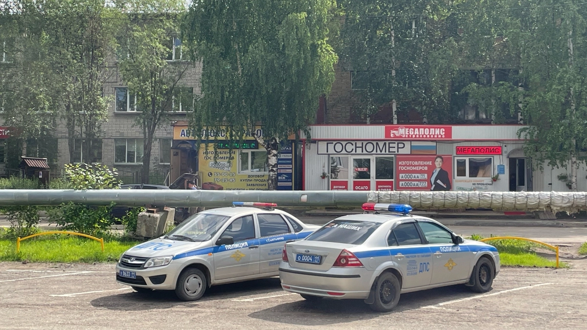Во Владимирской области полицейские задержали нетрезвого угонщика «девятки» после погони со стрельбой по колёсам