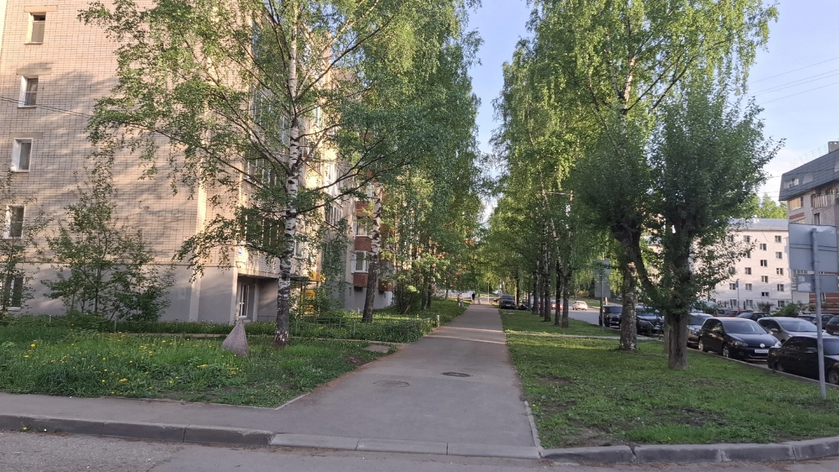 Во Владимирской области потеплеет до +24 градусов: синоптики рассказали о погоде на 14 июля