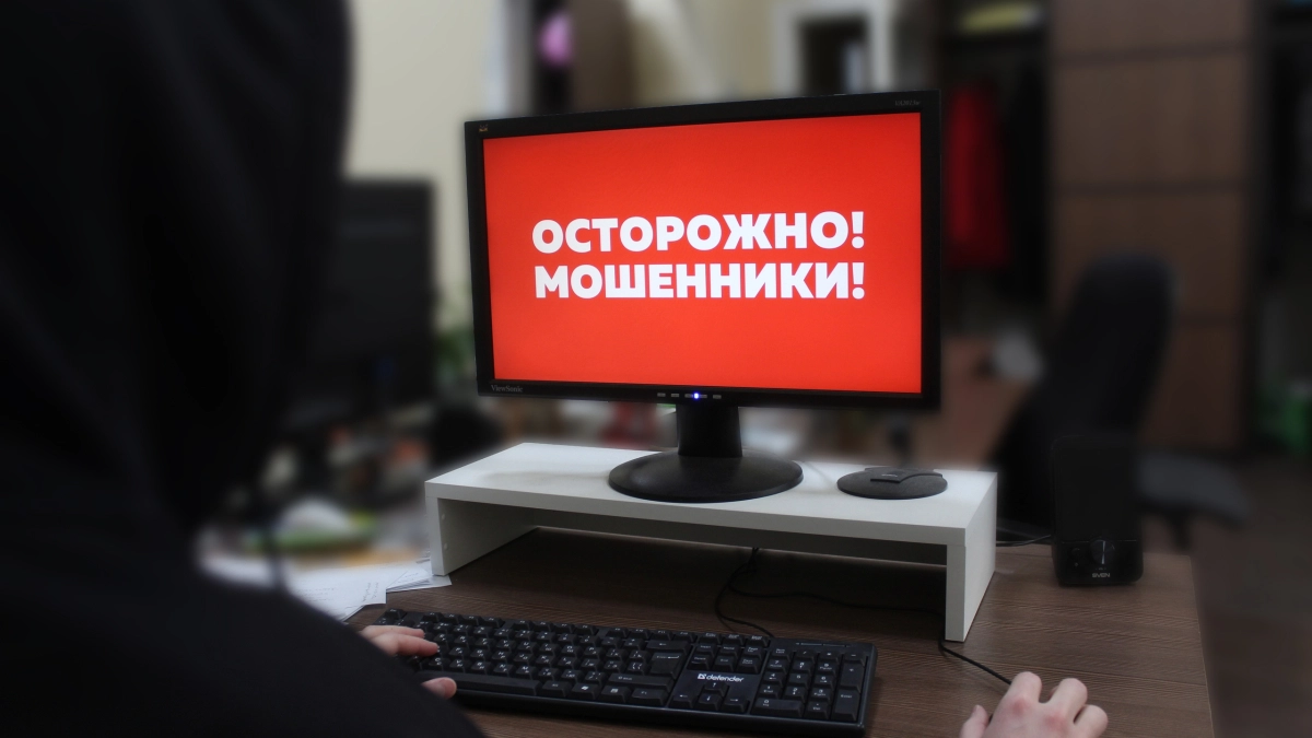 Более 600 миллионов рублей потеряли жители Владимирской области из-за дистанционных мошенников с начала года